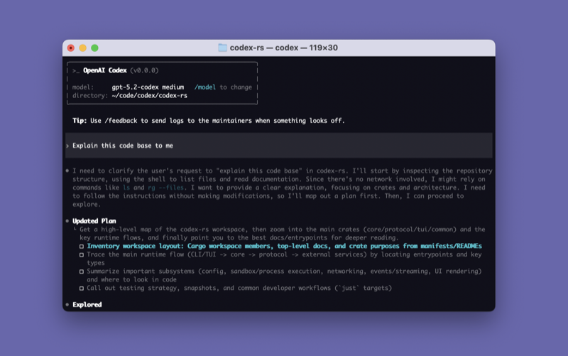 Codex CLI terminal interface.